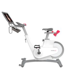 Купить Велотренажер Yesoul BV1-W PLUS в Уяре 